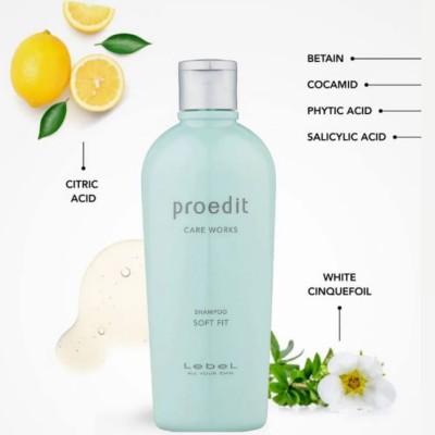 Увлажняющий шампунь для сухих волос Lebel Proedit Soft Fit Shampoo 300ml