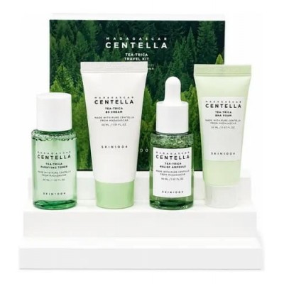Набор миниатюр для лица Skin 1004 Madagascar Centella Tea-Trica Travel Kit (пенка, 20ml + тоник, 30ml + сыворотка, 30ml + крем, 30ml)