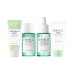 Набор миниатюр для лица Skin 1004 Madagascar Centella Tea-Trica Travel Kit (пенка, 20ml + тоник, 30ml + сыворотка, 30ml + крем, 30ml)