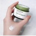 Увлажняющий крем для лица с пробиотиками зеленого чая Innisfree Derma Green Tea Probiotics cream 50 ml