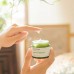 Увлажняющий крем для лица с пробиотиками зеленого чая Innisfree Derma Green Tea Probiotics cream 50 ml